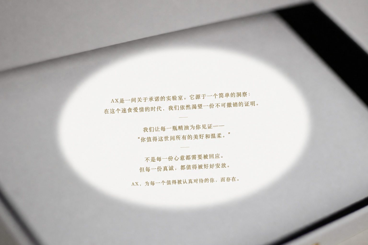 AX 月光承诺参考画面